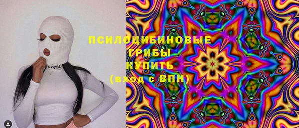 мдпв Белокуриха