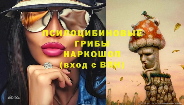 a pvp Белоозёрский