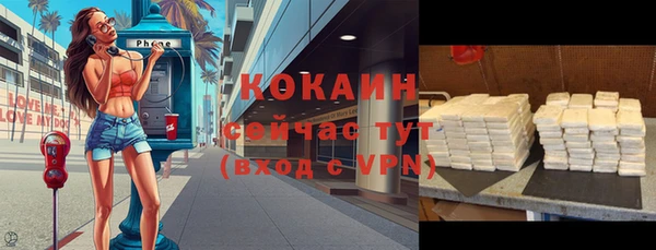 мдпв Белокуриха