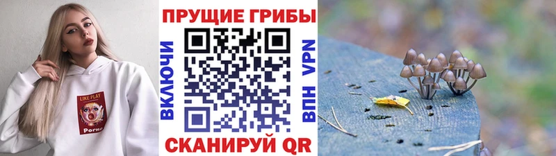 Галлюциногенные грибы мухоморы  магазин продажи   Шелехов 